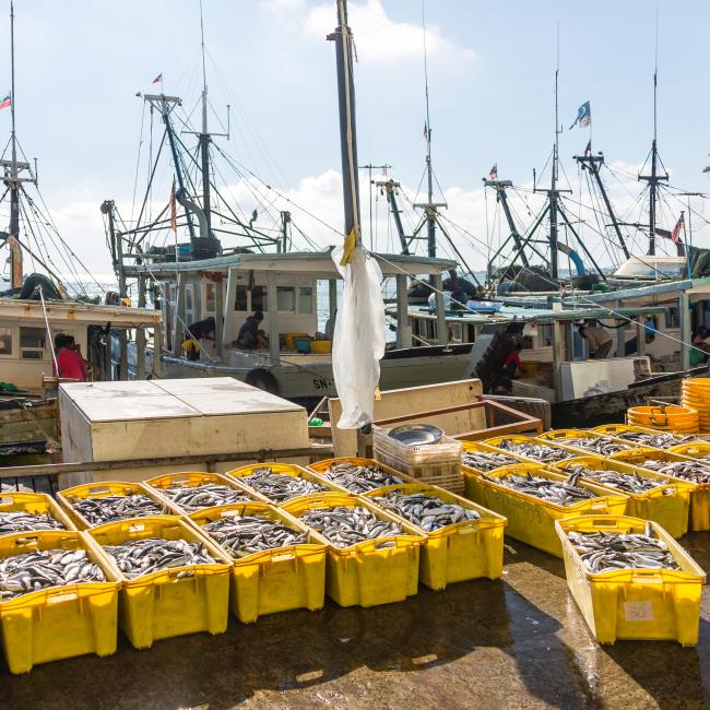 Yellow fish boxes at port