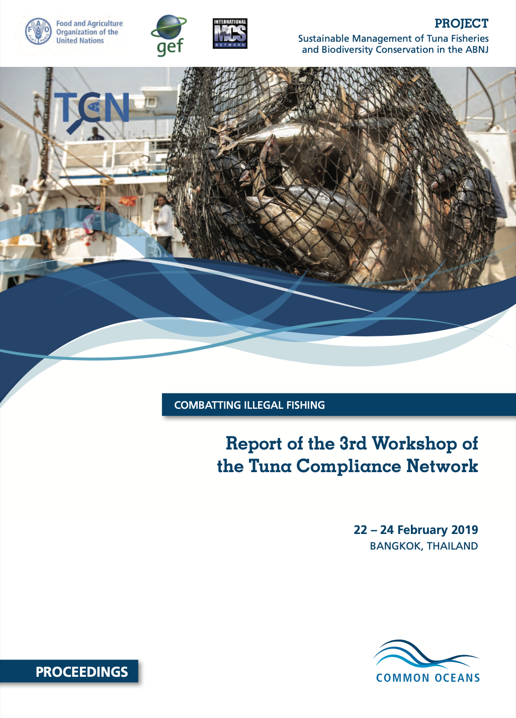 TCN 3rd Workshop Report thumbnail